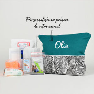 Trousse de secours personnalisable pour chien et chat