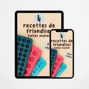 E-book 4 recettes de friandises maison pour chien